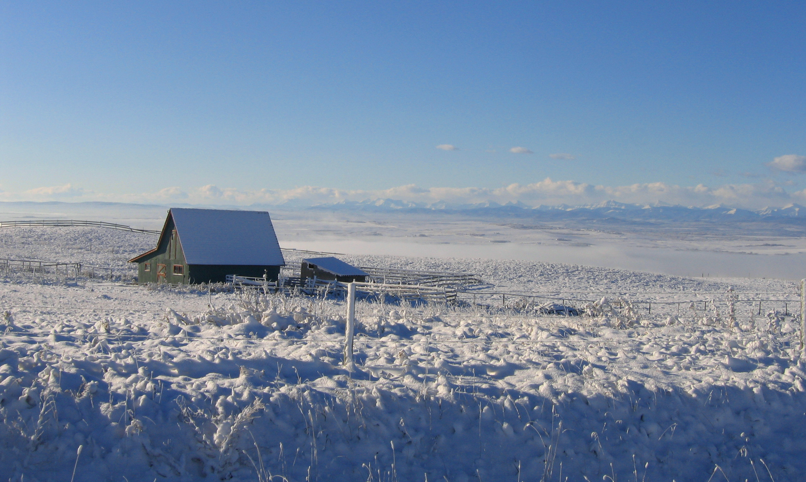 Picture of Beautiful Cochrane Alberta in Winter.  Flowers Cochrane, Alberta, Canada