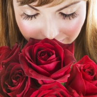 Valentines flower picture