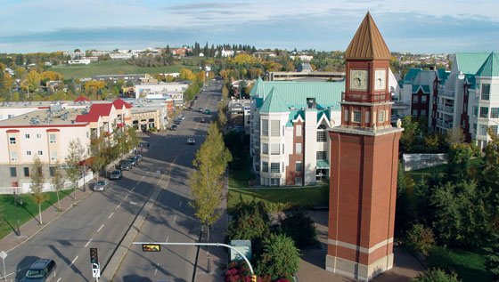 Saint Albert Flowers