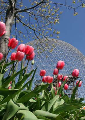 A photo of the Biosphere in Montreal